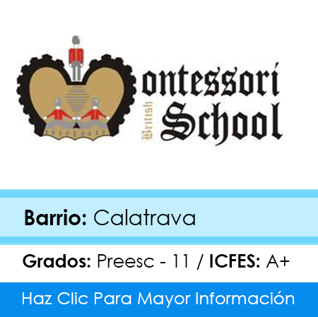 Colegio Montessori British School