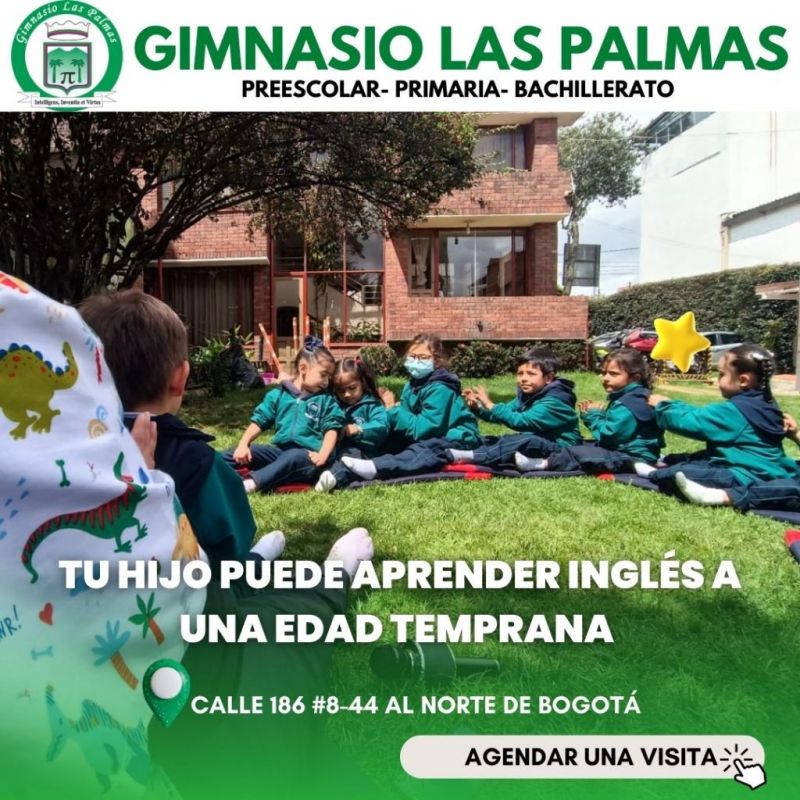 Gimnasio las Palmas